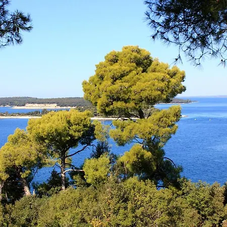 Апартаменти With Wifi Stinjan, - 7245